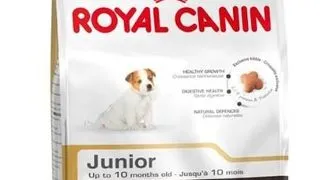 ROYAL CANIN Jack russell terrier junior  Hrana catei Jack Russell 3 kg