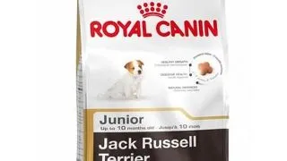 ROYAL CANIN Jack russell terrier junior Hrana uscata catei rasa Jack Russell 1.5 kg