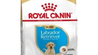Royal Canin Labrador Puppy hrana uscata caine junior, 3 kg