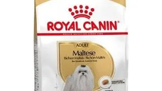 Royal Canin Maltese Adult hrana uscata caine, 1.5 kg