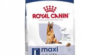Royal Canin Maxi 5+ Adult hrana uscata caine intre 5 si 8 ani, 15 kg