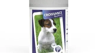 Supliement de vitamine si minerale pentru caini Pet Phos Croissance CA P 2, Pentru sistemul osos, 100 Tablete