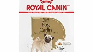 Royal Canin Pug Adult hrana uscata caine, 1.5 kg