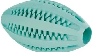 TRIXIE Minge rugby denta fun mintfresh 11.5 cm