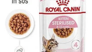 Royal Canin Kitten Sterilised hrana umeda pisica sterilizata junior (in sos), 12 x 85 g