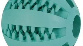 TRIXIE Minge Caine Denta Fun menta