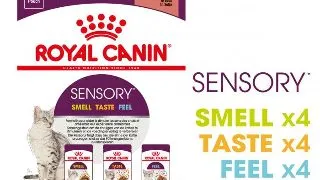 Royal Canin Sensory, hrana umeda pisici, stimularea simturilor (in sos), 12 x 85 g