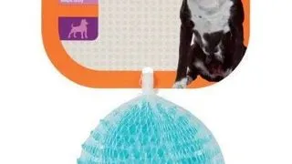ZOLUX Jucarie caine TPR Pop minge cu bumbi 8 cm turcoaz