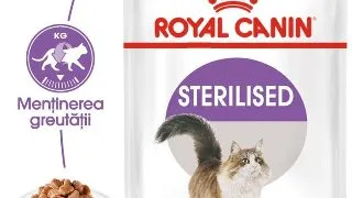 Royal Canin Sterilised Adult hrana umeda pisica sterilizata (in sos), 12 x 85 g