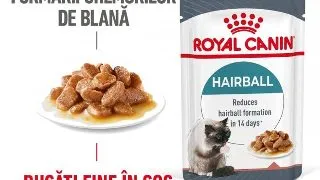 Royal Canin Hairball Care Adult hrana umeda pisica, limitarea ghemurilor de blana (in sos), 12 x 85 g