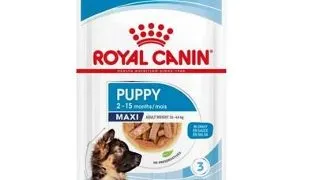 Royal Canin Maxi Puppy hrana umeda caine junior, 10 x 140 g