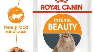 Hrana umeda pentru pisici Royal Canin Intense Beauty Care Adult, 12 x 85g