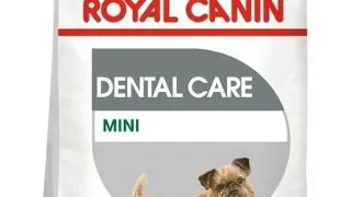 Royal Canin Mini Dental Care Adult hrana uscata caine pentru reducerea formarii tartrului, 1 kg