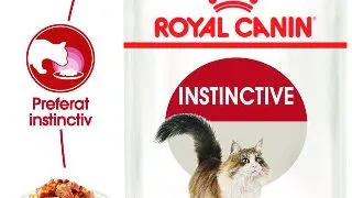 Royal Canin Instinctive Adult hrana umeda pisica (aspic), 12 x 85 g