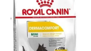 Royal Canin Mini Dermacomfort hrana uscata caine pentru prevenirea iritatiilor pielii, 8 kg