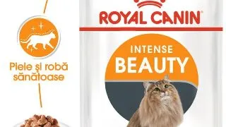 Hrana umeda pentru pisici Royal Canin Intense Beauty Care Adult, In sos, 12 x 85g