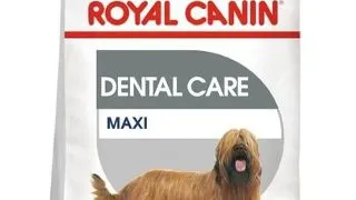 Royal Canin Maxi Dental Care Adult hrana uscata caine pentru reducerea formarii tartrului, 9 kg