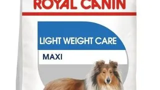 Royal Canin Maxi Light Weight Care Adult hrana uscata caine pentru limitarea cresterii in greutate, 3 kg