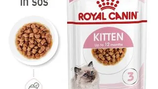 Royal Canin Kitten hrana umeda pisica (in sos), 12 x 85 g