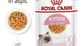 Royal Canin Kitten hrana umeda pisica (aspic), 12 x 85 g
