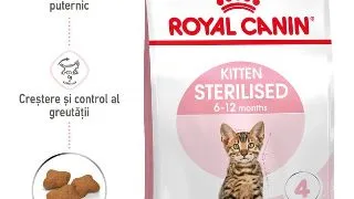 Royal Canin Kitten Sterilised hrana uscata pisica sterilizata junior, 2 kg