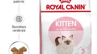 Royal Canin Kitten hrana uscata pisica junior, 10 kg