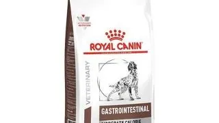 ROYAL CANIN VET Diet Dog Gastro Intestinal Moderate Calorie 15 kg hrana dietetica pentru caini adulti cu tulburari cronice ale sistemului digestiv