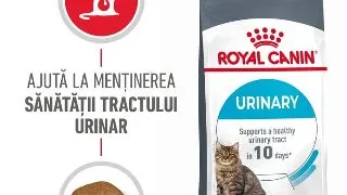 Royal Canin Urinary Care Adult hrana uscata pisica, sanatatea tractului urinar, 10 kg