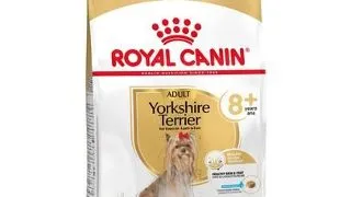 ROYAL CANIN Yorkshire Terrier Adult 8+ hrana uscata caine senior, 3 kg