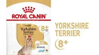 Royal Canin Yorkshire Adult 8+ hrana uscata caine senior, 1.5 kg