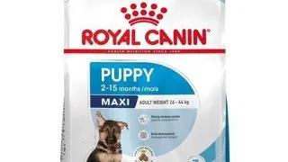 Royal Canin Maxi Puppy hrana uscata caine junior 30 kg ( 2 x 15 kg)