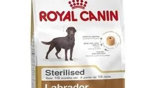 Royal Canin Labrador Adult Sterilised hrana uscata caini sterilizati din rasa Labrador Retriever 20 kg (2 x 12 kg)