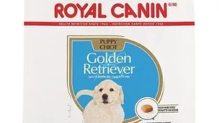 Royal Canin Golden Retriever Puppy hrana uscata caine junior 24 kg (2 x 12 kg)
