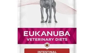 EUKANUBA Intestinal Disorders Adult All Breeds Chicken hrana uscata caini adulti cu afectiuni intestinale, dieta veterinara 5 kg