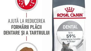 Royal Canin Dental Care Adult hrana uscata pisica, reducerea formarii tartrului, 400 g
