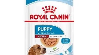 Royal Canin Medium Puppy hrana umeda caine junior 10x140 g
