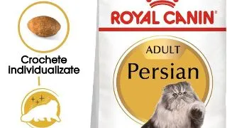 Royal Canin Persian Adult hrana uscata pisica, 10 kg
