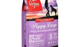 ORIJEN Puppy Large hrana uscata caini juniori de talie mare 6 kg