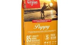 ORIJEN Puppy hrana uscata caini juniori 11.4 kg