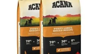 ACANA Puppy Large Breed hrana uscata caini juniori de talie mare 22,8 kg (2 x 11,4 kg)