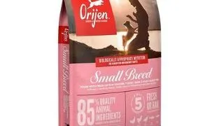 ORIJEN Small Breed Dog hrana uscata caini adulti de talie mica 4,5 kg