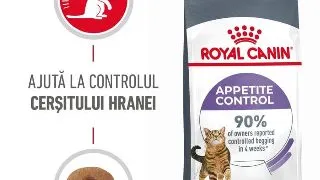 Royal Canin Appetite Control Care Adult hrana uscata pisica sterilizata, reglarea apetitului, 400 g