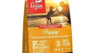 ORIJEN Puppy 2 kg Hrana uscata catei cu pasare