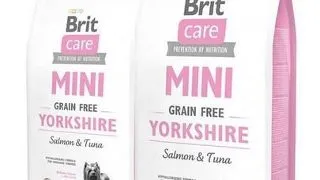 BRIT Care Grain Free Mini Yorkshire hrana uscata caini adulti talie mica, somon si ton 14 kg (2 x 7 kg)