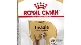 ROYAL CANIN Hrana uscata pentru cainii adulti de rasa Beagle 24 kg (2 x 12 kg)