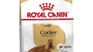 ROYAL CANIN Hrana uscata pentru cainii adulti de rasa Cocker adult 24 kg (2 x 12 kg)