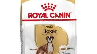 ROYAL CANIN Hrana uscata pentru cainii adulti din rasa Boxer 24 kg (2 x 12 kg)