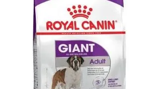 ROYAL CANIN Hrana uscata pentru cainii adulti de talie mare 30 kg (2 x 15kg)