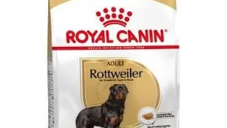 ROYAL CANIN Hrana uscata pentru cainii adulti din rasa Rottweiler Adult 24 kg (2 x 12kg)