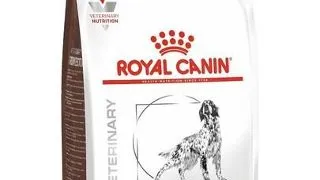 ROYAL CANIN VET Dog Gastro Intestinal hrana dietetica pentru caini cu tulburari gastro-intestinale 15kg